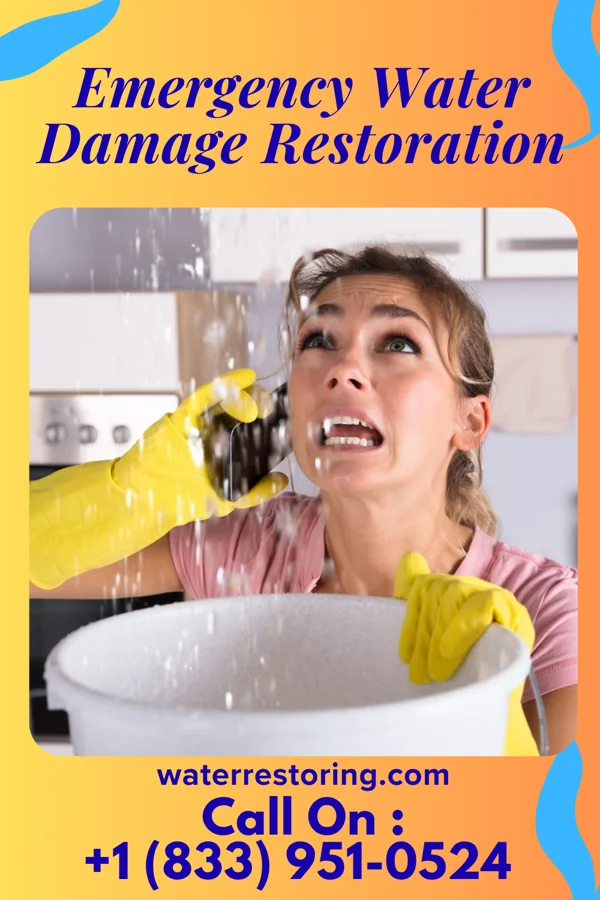 Emergency Water Damage Restoration in Paragonah, UT