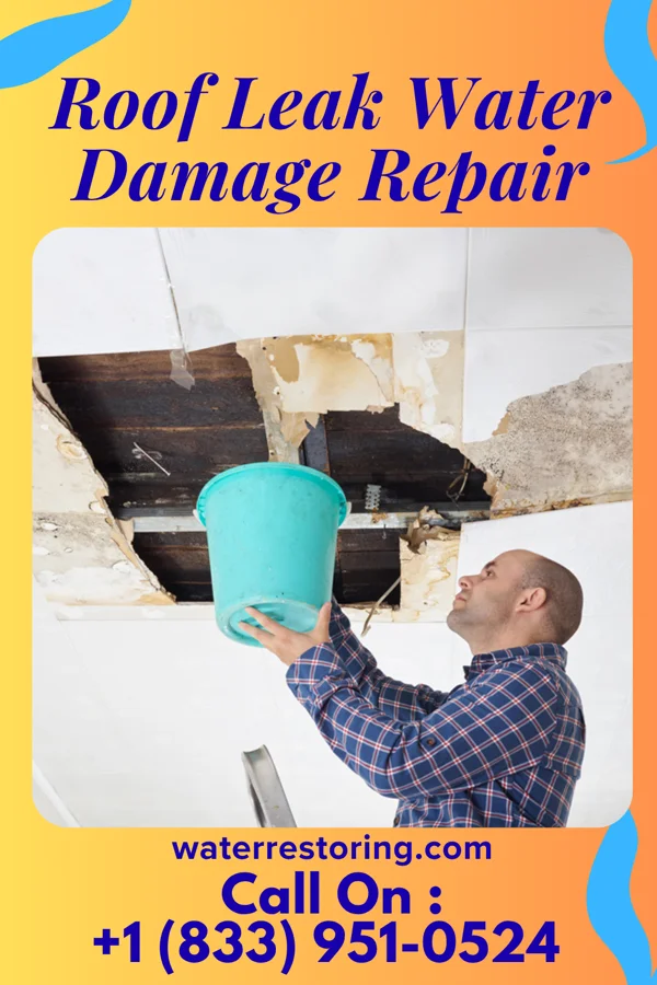 Roof Leak Water Damage Repair in Paragonah, UT